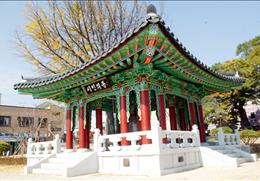 타종식 기타사진